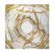 Golden and Silver Circle Canvas Print