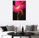 3d Image of Pink Flower Canvas Print