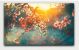 Beautiful Flowers With The Rays Of Sunset Canvas Print