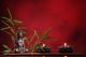 Buddha In Meditation With Burning Candles And Bamboo Leaf Canvas Print