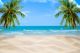 Beach With Blue Ocean, Sky And Palm Tree Canvas Print