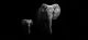 A Mother And Baby Elephant With Black Background Canvas Print