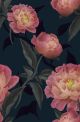 Beautiful Flowers On Dark Background Canvas Print