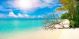 Beautiful Beach With Trees Canvas Print