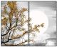 Tree and Moon Autumn Canvas Print