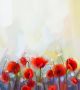 Red Poppy Flowers Nature Background Canvas Print