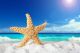 Fishstar On The Sandy Beach Canvas Print