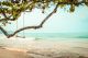 Wooden Swing On The Tropical Beach Canvas Print