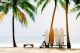 Surfboard And Palm Trees On The Beach Canvas Print