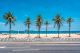 Palms on the Beach with Blue Sky Canvas Print