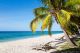 Beautiful Beach with White Sand, Sunbeds and Palm Trees Canvas Print