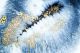 Very Beautiful Art With Golden Powder Canvas Print