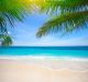 Tropical Beach with Coconut Palm Canvas Print