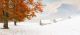 Autumn and Snowy Mountains Landscape Canvas Print