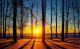 Sunset In The Countryside Canvas Print
