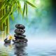 Zen Stones and Bamboo on the Water Canvas Print