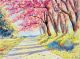 Pink and Red Color of Wild Himalayan Cherry Roadside in the Morning with Vintage Canvas Print
