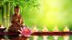 Lord Buddha With Natural Background Canvas Print