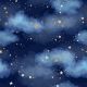 Small Stars in a Night Sky Background Canvas Print