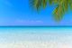 Sea View Tropical Sea with Summer Background Canvas Print