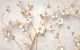 3d Wallpaper of Beautiful Flower Background Canvas Print