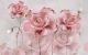 3D Large Pink Gold-Plated Roses Canvas Print