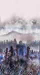 Magic Mist in the Forest Canvas Print