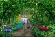 A Couple Of Peacocks Walks Through A Green Garden Canvas Print