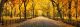 Central Park In New York City During Autumn Season Canvas Print