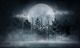 Dark Forest With Big Moon Canvas Print