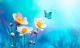White Flowers and Flying Blue Butterfly on Soft Blue Background Canvas Print