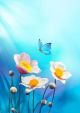 Beautiful White Flowers and Blue Butterfly on Soft Blue Background Canvas Print