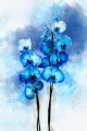 Orchid Plant with Blue Flowers Canvas Print