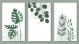 Set of Botanic and Wild Leaves Canvas Print