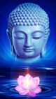 3D Buddha God Head and Lotus Flower on a Blue Background Canvas Print
