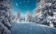 Winter Mountain Forest, Frosty Trees under Warm Sunlight Canvas Print