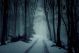 Country Road in Snowy Forest in the Mountains at Night Canvas Print