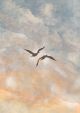 Boho Sky with Two Birds Canvas Print
