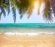 Palm Tree and Tropical Beach Canvas Print