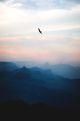 Birds Flying Above a Mountain Canvas Print