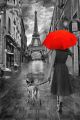 Black and White.Rainy Day in Paris with Eiffel Tower Canvas Print