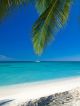 Blue Beach and Tropical Sea Canvas Print