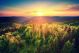 View of a Scenic Sunset over the Forest Hills Canvas Print