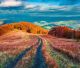 Colorful Autumn Morning in the Carpathian Mountains, Ukraine, Europe Canvas Print