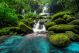 Beautiful Waterfall in the Green Forest Canvas Print