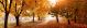 Colorful Autumn Trees with Natural Background Canvas Print