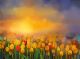 Yellow and Red Tulips Flowers in the Field Canvas Print