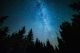 The Milky Way Rises Over The Pine Trees Canvas Print