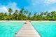 Beautiful Tropical Maldives Island With Beach, Sea And Coconut Palm Tree Canvas Print