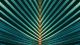 Striped of Palm Leaf Canvas Print